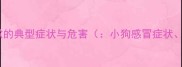 小狗感冒咳嗽的典型症状与危害小狗感冒症状咳嗽危害