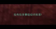 拉布拉多赛级幼犬标准