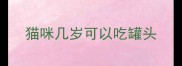 猫咪几岁可以吃罐头