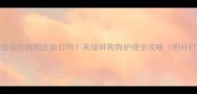 5年未打疫苗的狗狗还能打吗未接种狗狗护理全攻略附补打流程
