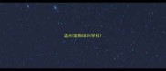 温州宠物培训学校