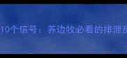边牧想上厕所的10个信号养边牧必看的排泄反应与训练指南