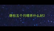 德牧五个月喂养什么好