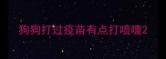 狗狗打过疫苗有点打喷嚏