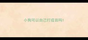 小狗可以自己打疫苗吗