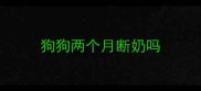 狗狗两个月断奶吗