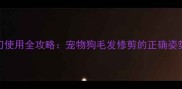 宠物美容剪刀使用全攻略宠物狗毛发修剪的正确姿势与注意事项