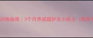 拉布拉多护家训练指南3个月养成超护主小战士附安全训练全流程