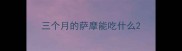 三个月的萨摩能吃什么