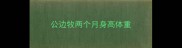 公边牧两个月身高体重