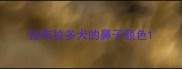 拉布拉多犬的鼻子颜色