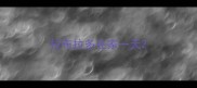 拉布拉多在家一天