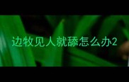 边牧见人就舔怎么办