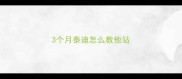 3个月泰迪怎么教他站