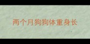 两个月狗狗体重身长