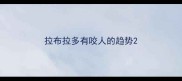 拉布拉多有咬人的趋势