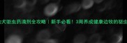 边牧幼犬驱虫药滴剂全攻略新手必看3周养成健康边牧的驱虫指南