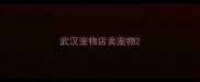 武汉宠物店卖宠物