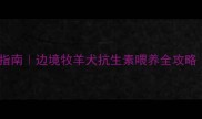 边牧吃阿莫西林必看指南边境牧羊犬抗生素喂养全攻略附喂药视频教程