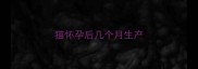 猫怀孕后几个月生产