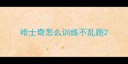 哈士奇怎么训练不乱跑