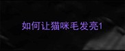 如何让猫咪毛发亮