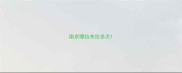 南京哪拉布拉多犬