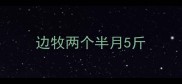 边牧两个半月5斤