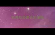 拉布拉多脚天生瘸吗