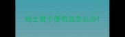 哈士奇小便有血怎么办