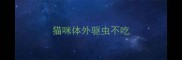 猫咪体外驱虫不吃