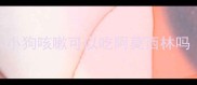 小狗咳嗽可以吃阿莫西林吗