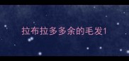 拉布拉多多余的毛发