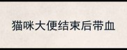 猫咪大便结束后带血