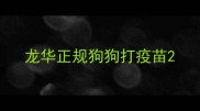 龙华正规狗狗打疫苗