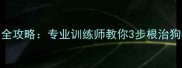 哈士奇翻垃圾桶全攻略专业训练师教你3步根治狗狗翻找垃圾习惯
