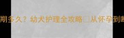 雪纳瑞孕期多久幼犬护理全攻略从怀孕到断奶必看
