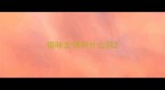 猫咪发情用什么药