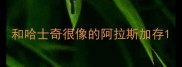 和哈士奇很像的阿拉斯加存