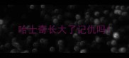 哈士奇长大了记仇吗
