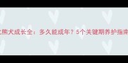 比熊犬成长全多久能成年5个关键期养护指南