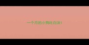 一个月的小狗吐白沫