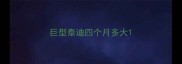巨型泰迪四个月多大