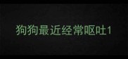 狗狗最近经常呕吐