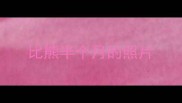 比熊半个月的照片