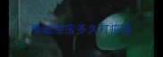 泰迪宝宝多久打疫苗