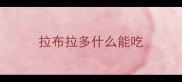 拉布拉多什么能吃