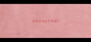 拉布拉多6个月吃