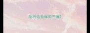陨石边牧母狗三通