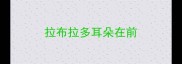 拉布拉多耳朵在前